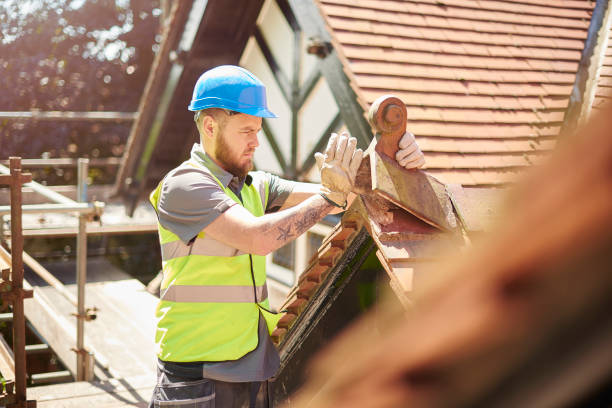 Best Roof Gutter Cleaning  in Pickerington, OH